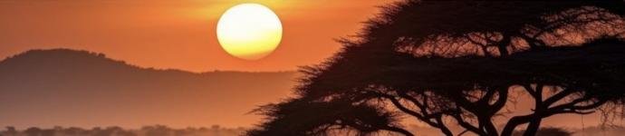 Tsavo Ost + Amboseli + Tsavo West