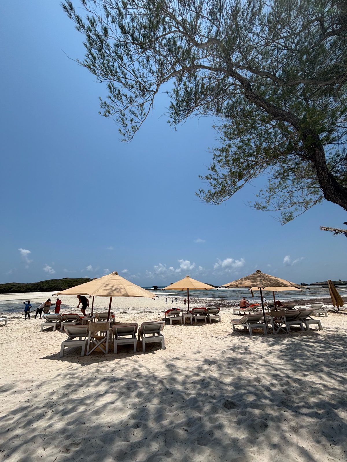 Im Schatten an der Lagune