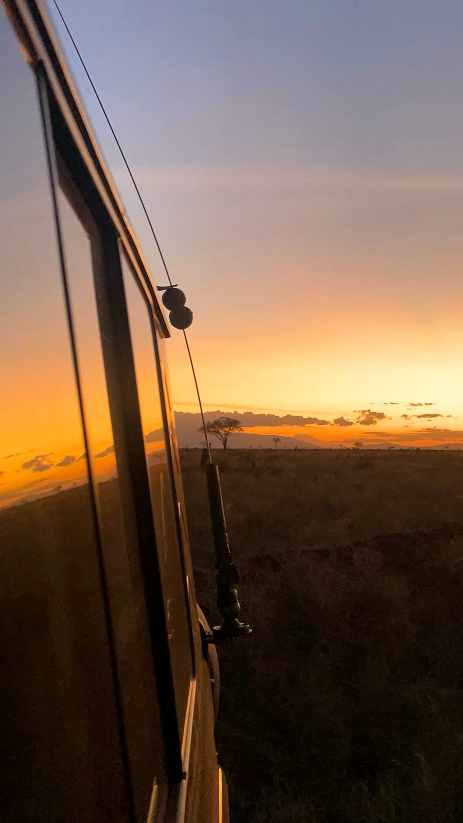 La savana al tramonto